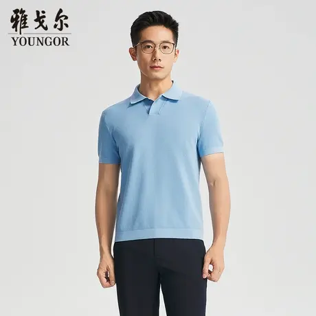 【商场同款】雅戈尔男士短袖T恤夏季新款官方商务休闲短袖POLO衫商品大图