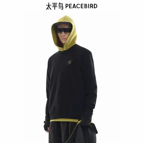 【商场同款】太平鸟男装 休闲卫衣重磅刺绣男士卫衣阔 B2CRE4147商品大图