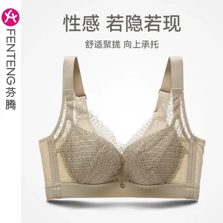 芬腾女士内衣上托防下垂大胸文胸聚拢收副乳薄款透气性感蕾丝胸罩图片