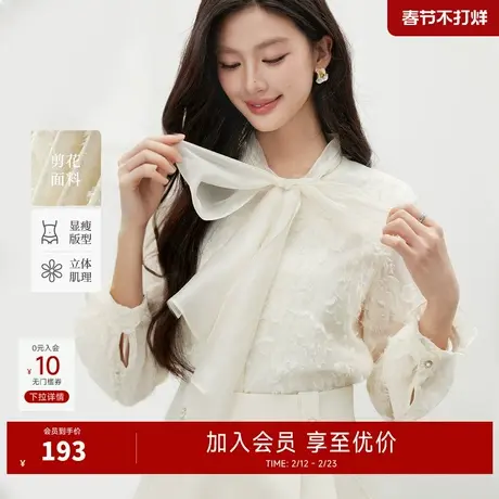 秋水伊人温柔气质上衣2025年冬季新款优雅半透明镂空袖设计蕾丝衫商品大图