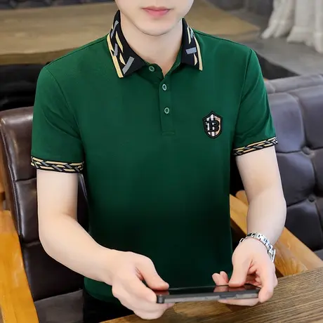 夏季纯棉翻领短袖t恤男士半袖体恤带领夏装上衣服刺绣潮牌polo衫商品大图