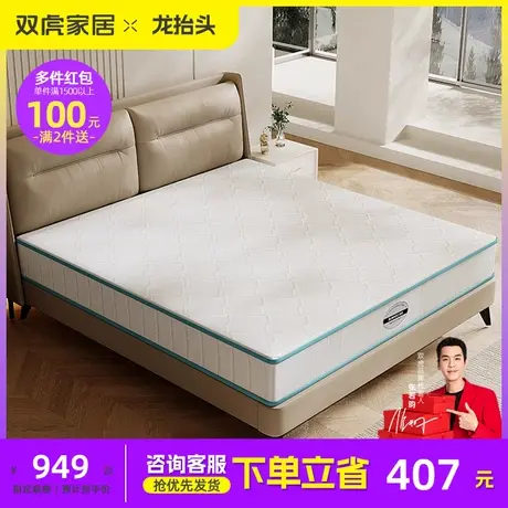 双虎弹簧床垫双人床护腰护脊椰棕床垫子席梦思乳胶软硬两用双功能商品大图