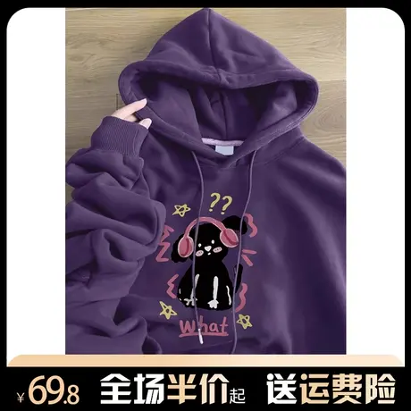 美式复古重磅连帽卫衣女春秋薄款2024年爆款宽松港味chic外套上衣商品大图