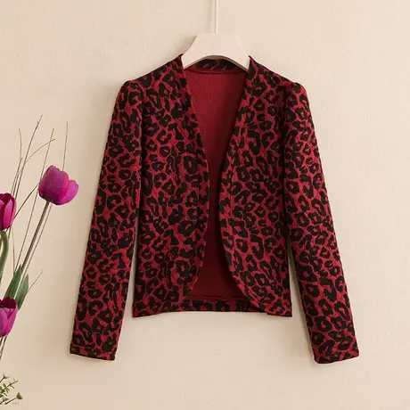 春秋新款流行漂亮翻领豹纹印花开衫休闲气质长袖外套2023新款爆款图片