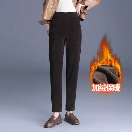 时尚加绒休闲裤女秋冬2023新款松紧腰小个子显瘦哈伦裤小脚萝卜裤图片