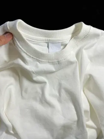 白色打底衫女春夏季宽松2023叠穿内搭短袖体恤春夏纯棉短袖t上衣图片