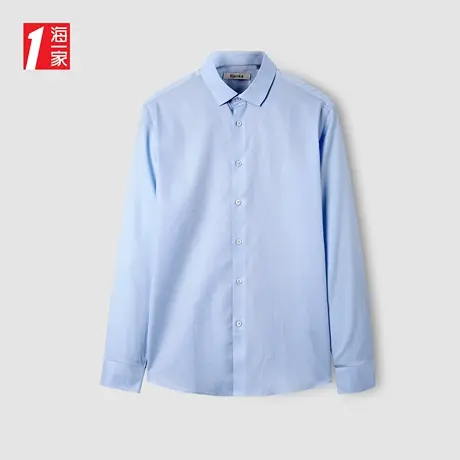 海一家简约商务正装衬衣舒适中年男士长袖衬衫图片