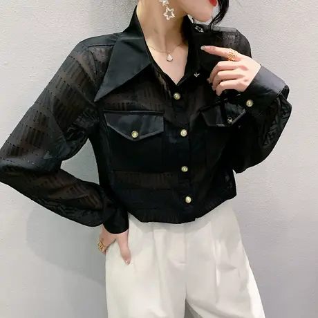 性感透视雪纺衬衫女长袖春秋时尚薄款POLO领上衣纯色百搭气质小衫商品大图