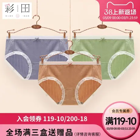 彩田内裤女莫棉混纺中腰纯色条纹蕾丝边蝴蝶结抗菌底裆女士三角裤图片