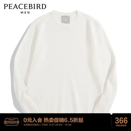 太平鸟男装毛套衫商品大图