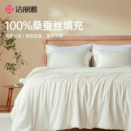 洁丽雅高奢蚕丝被100桑蚕丝被子被芯柔软亲肤家庭宿舍四季通用商品大图
