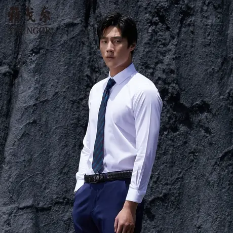 【棉弹DP免烫】D系雅戈尔衬衫秋季商务休闲新疆长绒棉长袖衬衫商品大图