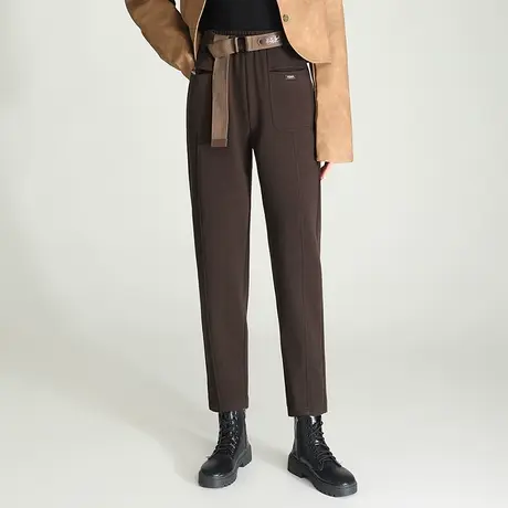 毛呢小脚裤女秋冬2023新款时尚显瘦哈伦裤通勤直筒萝卜裤休闲裤子商品大图