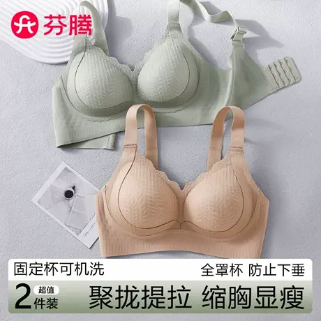 芬腾提拉内衣女小胸聚拢显大调整型收副乳防下垂上托矫正塑形文胸商品大图