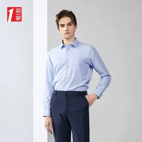 海一家商务正装衬衣新款职业休闲中年男士长袖衬衫图片