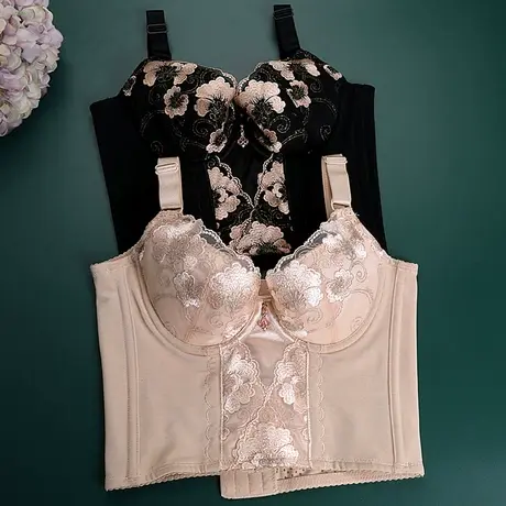 美容院身材管理器长文胸收副乳收胃腹腰胸罩十一排扣聚拢塑身内衣商品大图