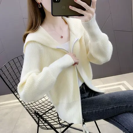 秋季女士毛衣外套早秋2023年新款爆款时尚洋气针织开衫上衣春秋款商品大图