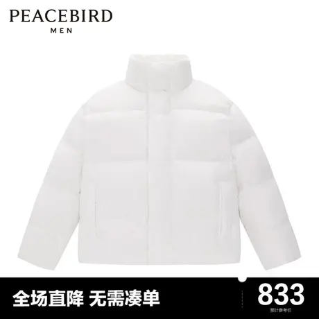 太平鸟男装奥莱 局外人系列立领面包服男羽绒服图片