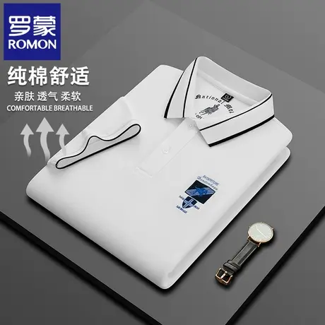 罗蒙高端纯棉男士刺绣POLO衫短袖T恤夏季薄款商务翻领半袖上衣N2Z图片