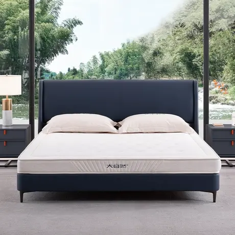 【达人】大自然E6老人父母长辈山棕榈腰椎酸疼硬床垫子可定制图片