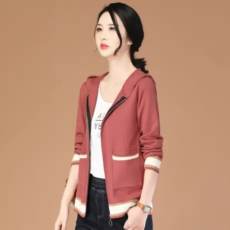 韩潮袭人连帽长袖条纹开衫针织衫女2023年秋季新款宽松毛衣外套薄图片