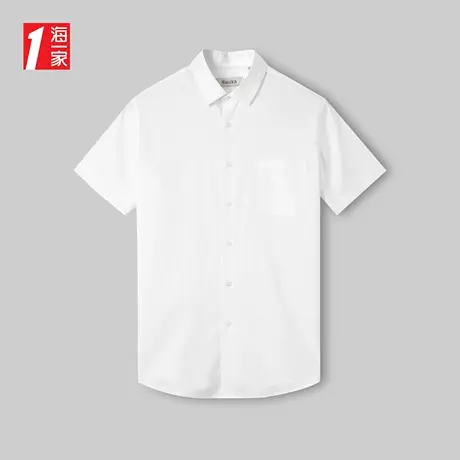 海一家职业商务短衬2023夏季新款舒适透气中年男士短袖衬衫图片