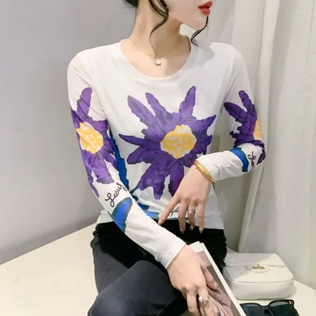 欧货女装新款潮网纱圆领T恤女长袖设计感小众印花上衣内搭打底衫商品大图