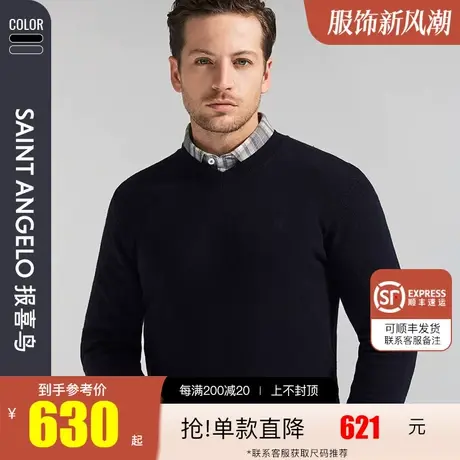 报喜鸟2022新款男士商务休闲羊毛衫V领纯色保暖亲肤男针织衫毛衣商品大图
