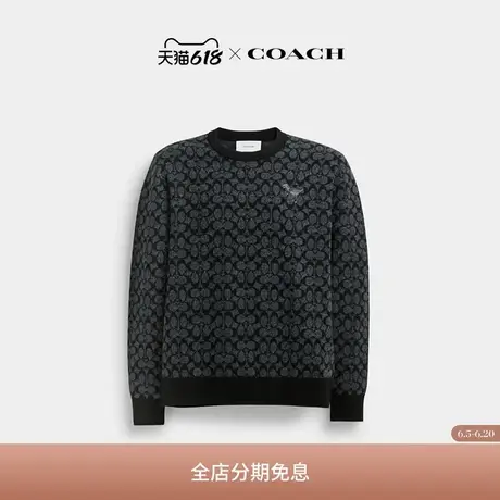 COACH/蔻驰男士REXY毛衣图片