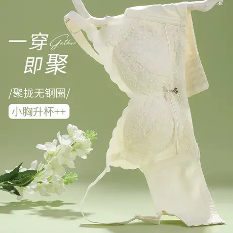 伊丝艾拉无钢圈聚拢文胸 春夏新品蕾丝内衣女舒适透气小胸收副乳图片