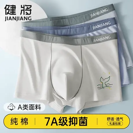 健将内裤男生纯棉抗菌平角裤头男孩青少年学生大童胖童四角短裤衩图片