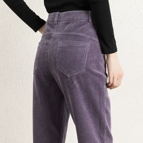 紫色条绒老爹裤灯芯绒裤子女秋冬加绒女裤休闲裤哈伦裤加厚萝卜裤商品大图