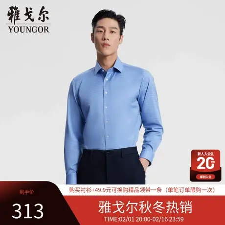 【格纹长袖衬衫】D系雅戈尔衬衫春季商务休闲易打理长袖衬衫男商品大图