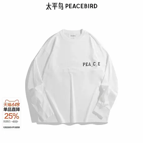 【商场同款】太平鸟男装 T恤24秋新款重磅刺绣t恤 B2CPE3133商品大图