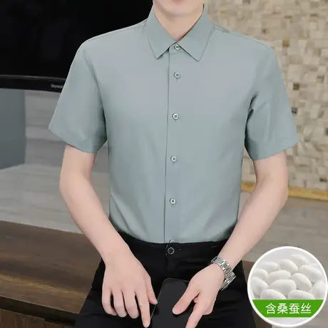 白色短袖衬衫男士冰丝免烫高级感夏季商务休闲职业竹纤维半袖寸衫图片