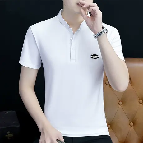 短袖t恤男士立领半袖ins上衣潮牌2023夏季新款棉感修身潮流男装商品大图