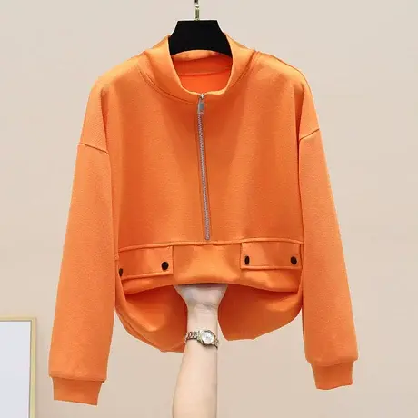 无帽拉链口袋卫衣女春秋季ins韩版半高领百搭宽松立领上衣外穿潮图片