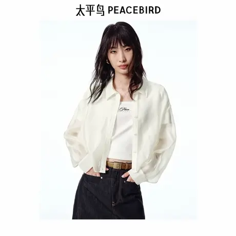 【商场同款】太平鸟女装2025年夏季新款白色廓形衬衫A1CAF2402图片