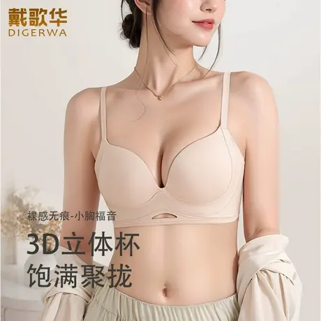 秋冬新品戴歌华小胸聚拢无痕3D立体杯内衣女无钢圈软支撑文胸厚款商品大图
