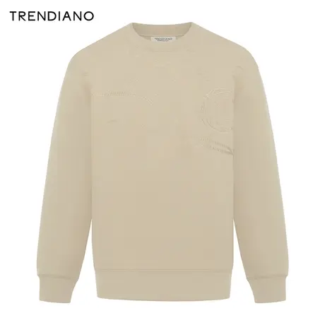 TRENDIANO官方标语刺绣宽松圆领休闲百搭卫衣男潮2023新款冬季图片