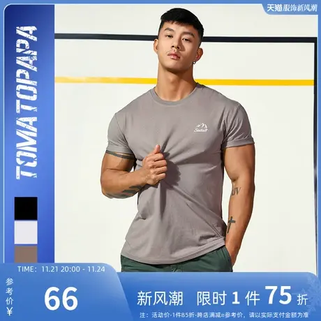 TOMATOPAPA2021原创雪山图案印花短袖潮流微弹棉圆领欧美男士T恤商品大图