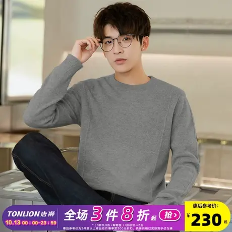 唐狮冬季男士毛衣新款纯色毛衣男设计感潮流针织衫圆领内搭百搭潮图片