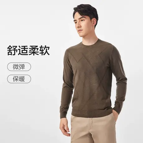 红豆毛衣男士23秋季保暖针织衫提花基打底套头圆领毛衫针织衫打底商品大图