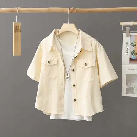 小个子短款上衣女短袖夏季衬衫外套女薄款2024新款设计感小众衬衣图片