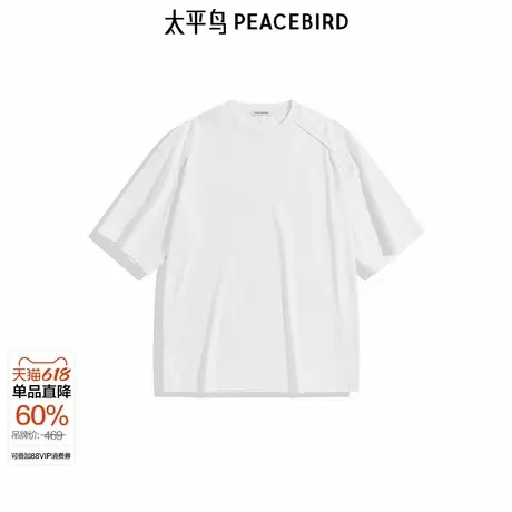 【商场同款】太平鸟男装重磅T恤2024秋新款纯色刺绣短袖B2CNE3Z01商品大图