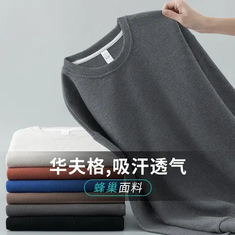 男士卫衣2023新款华夫格秋冬款潮流无帽保暖加绒加厚圆领长袖t恤商品大图