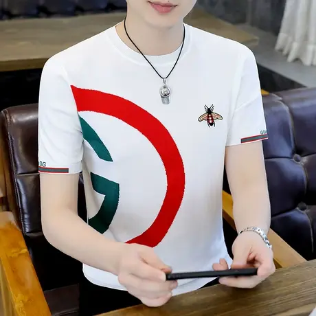 2025新款夏装短袖男士圆领休闲打底衫刺绣薄款冰丝伊力特针织t恤商品大图