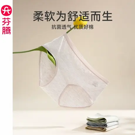 芬腾女款内裤7a级抗菌纯棉内裆中腰三角裤女士性感透气提臀短裤头图片