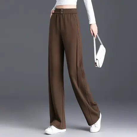 宽松显瘦垂感直筒裤秋季2023新款高腰遮胯松紧腰小个子百搭阔腿裤商品大图