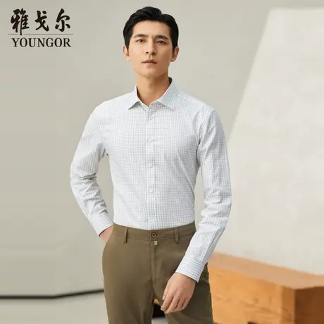 【商场同款】雅戈尔衬衫秋季官方商务休闲高级免烫通勤长袖衬衣商品大图